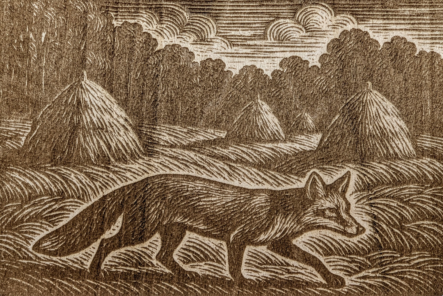 Fox in a Field, Woodcut Engraving