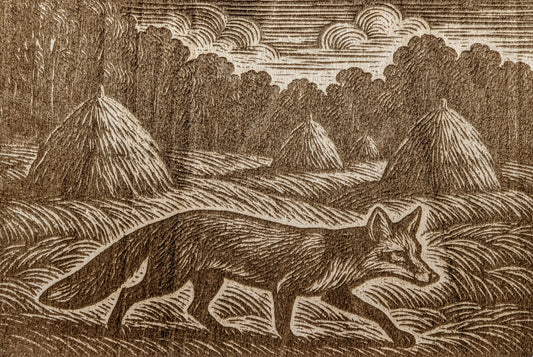 Fox in a Field, Woodcut Engraving