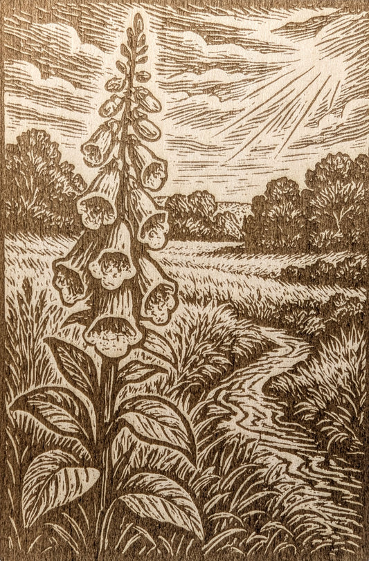 Foxglove Field, Woodcut Engraving