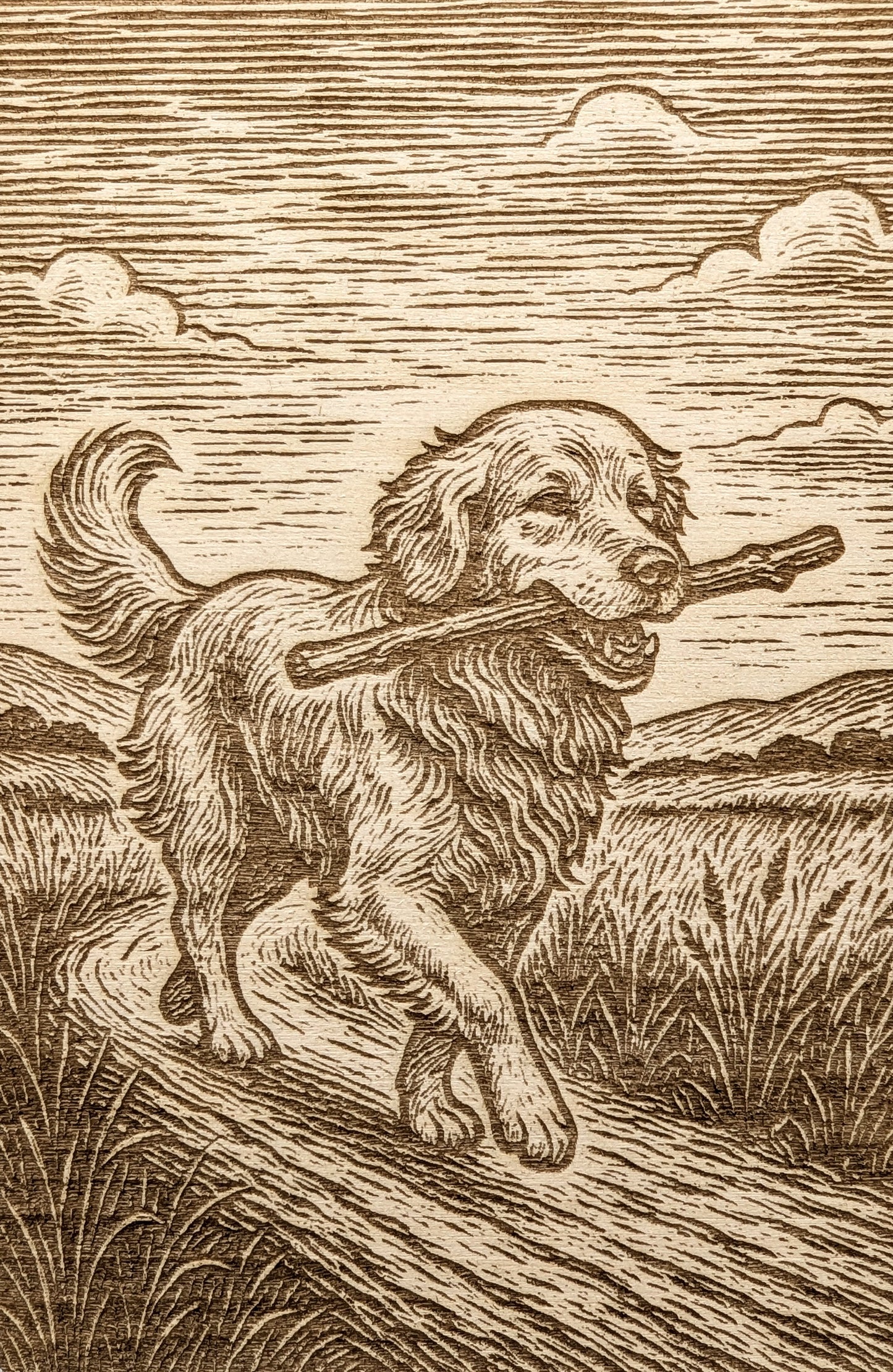 Golden Retriever - Woodcut
