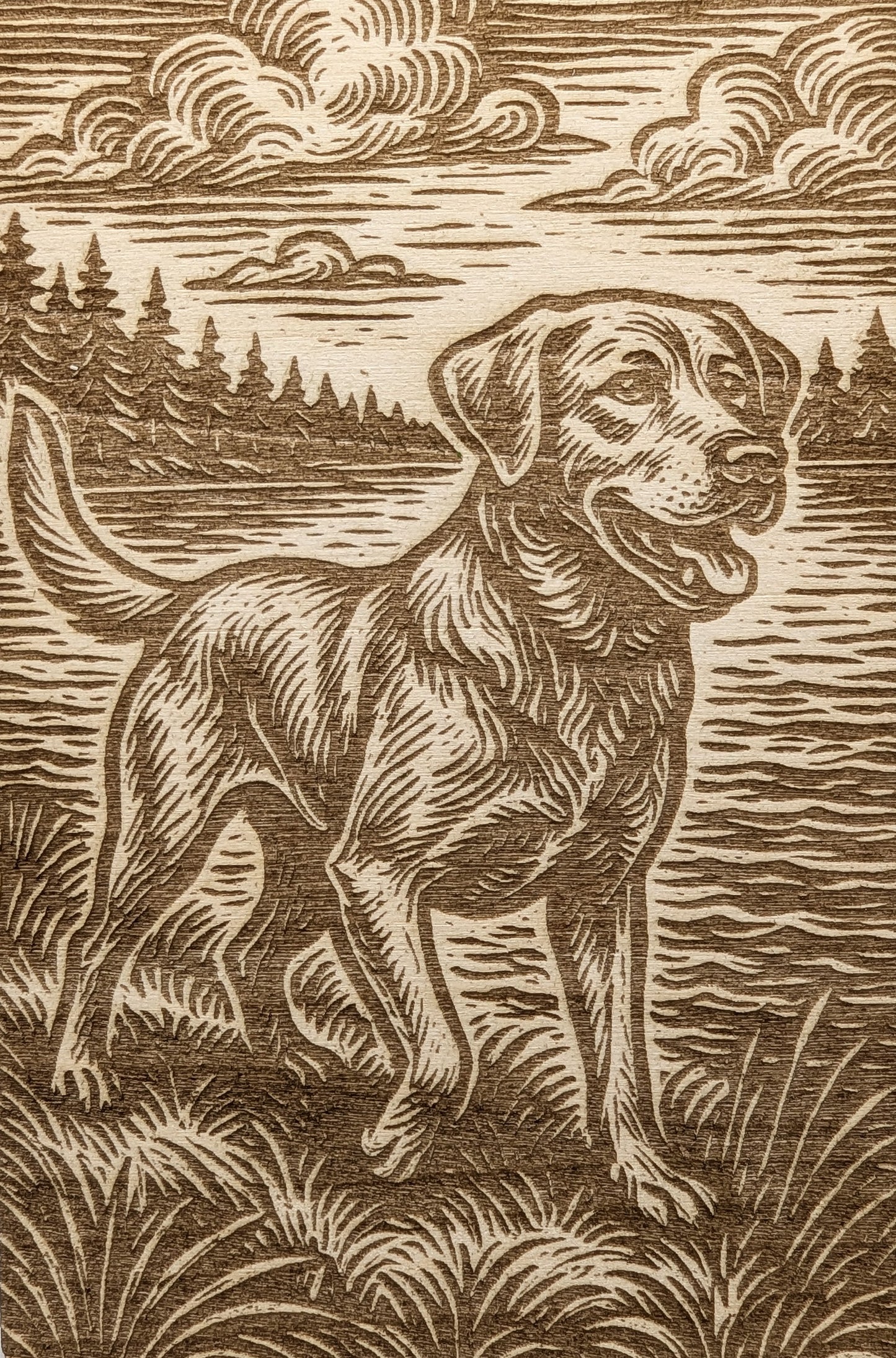 Labrador Retriever, Woodcut Engraving