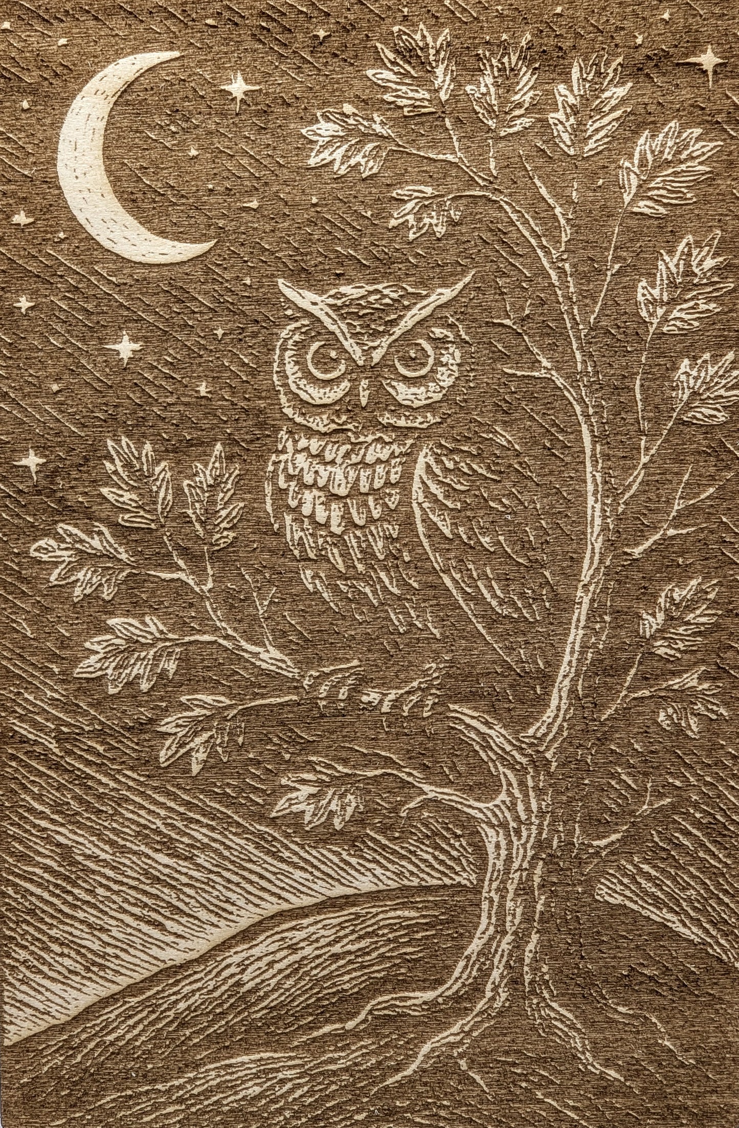 Owl and the Moon, Woodcut Engraving